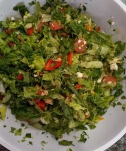 Salsa Master Salsa Maker, Food Chopper, Mixer and Blender - As Seen On TV Manual Food Processor,white 18 718Bo0ySbWL