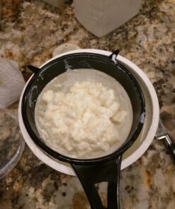 Live Milk Kefir Grains - Live Probiotic Culture Mr. and Mrs. Kefir Instructions 28 718ChWZSrFL