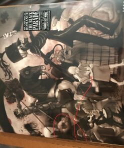 The Black Parade Explicit Lyrics Vinyl, February 10, 2015 22 718DNVwRCxL