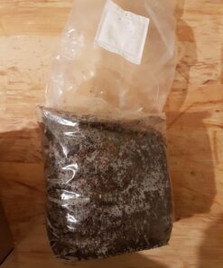 Backyard Morel Mushroom Growing Kit - MOREL HABITAT KIT ® 46 718FuElM CL