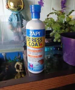 API STRESS COAT Aquarium Water Conditioner 16-Ounce Bottle 16 oz Aquarium Treatment 32 718GFAkJWaL