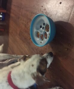 PAW5 Rock 'N Bowl Puzzle Feeder Dog Bowl - Fun Interactive Enrichment Dog Dish - Slow Feeder for Dogs - Stops Bloating - BPA and Phthalate-Free Plastic Made in The USA 17 718HEtZyYRL