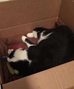 K&H Pet Products Self-Warming Crate Pad, Warming Dog Crate Bed, Machine Washable Dog Crate Mat, Mocha X-Small 14 x 22 Inches 22.0"L x 14.0"W x 1.0"Th 49 718LkJYiHML