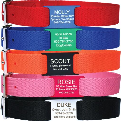 GoTags Dog Collar with Slide-on Dog Tag, Durable Nylon Dog Collar and Personalized Dog ID Tag Nameplate in Assorted Colors and Sizes