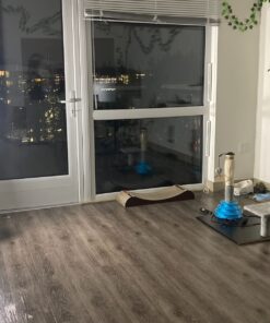 Simple Designs LD1003-WHT Basic Metal Flexible Hose Neck Desk Lamp, White 6.1 x 4.9 x 13.85 1 33 718OmVYyrCL