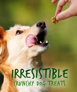 Fruitables Dog Treats Pumpkin & Apple Flavor, 7 oz 7 Ounce (Pack of 1) Pumpkin and Apple 17 718RfZ5e2EL