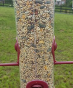 Wagner's 62008 Western Regional Blend Wild Bird Food, 20-Pound Bag 20 718SvWCbqkL