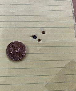 Crosman Gold Flight LF1785 Lead-Free .177-Caliber Penetrator Pointed Pellets, Gold (125-Count) , 1.00 x 1.00 x 1.00" 21 718UnNoOe0L