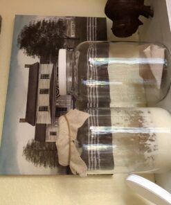 1790 Large Glass Jars with Lid - Wide Mouth 1 Gallon Glass Jar with Lid - Glass Gallon Jar for Kombucha & Sun Tea - Gallon Mason Jars are Large Glass Jars with Lids 1 Gallon for Food Storage - 2 Pack 31 718WPjOk4LL