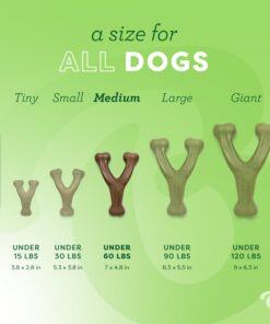 Benebone Wishbone Durable Dog Chew Toy for Aggressive Chewers, Real Bacon, Made in USA, Medium 22 718WRGn6YaL