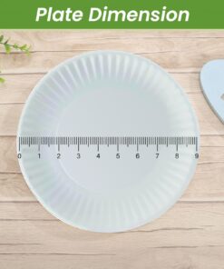Perfect Stix Paper Plate by Kitchen Essentials, 9" (Pack of 300) Pack of 300ct 11 718Wo8f3kOL
