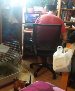 Ergonomic Office Chair Cheap Desk Chair Mesh Computer Chair with Lumbar Support Arms Modern Cute Swivel Rolling Task Mid Back Executive Chair for Women Men Adults Girls,Black Black 46 718X13bP1L 4