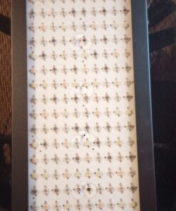 BESTVA 2024 Newest Upgrade 2000W Led Grow Light with High Yield Diodes Full Spectrum LED Grow Lights for Indoor Plants Greenhouse Veg Bloom Light Hydroponic Grow Lamp 37 718XKaXdIRL