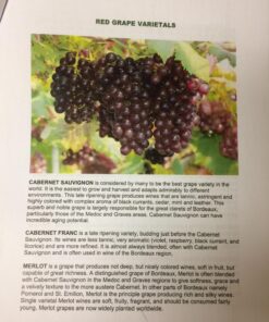 Hicoup Wine Opener - Professional Corkscrews for Wine Bottles w/Foil Cutter and Cap Remover - Manual Wine Key for Servers, Waiters, Bartenders and Home Use - Classic Rosewood 44 718XqkE aRL