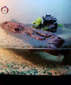 TERA PUMP TRFTCLN Aquarium Gravel Cleaner (BPA Free) Fish Tank Sand Cleaner Aquarium Gravel Cleaner with Long Nozzle & Water Flow Controller, (10-20 Gallon Tank) Large 42 718Z7ZsinTL