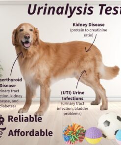 One Step Pet Urine Testing Strips, 50 x Urinalysis Parameter Tests for Dogs, Cats, Vets, Accurate Testing for Veterinarians, Detects UTI, Diabetes, Bladder, Kidney, Liver, SG, pH, Glucose 12 718a6cnNf3L