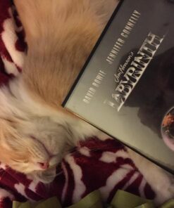 Labyrinth DVD October 5, 1999 9 718btoWUC5L