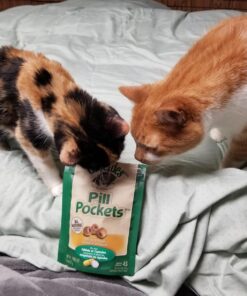 FELINE GREENIES PILL POCKETS for Cats Natural Soft Cat Treats, Chicken Flavor, 1.6 oz. Pack (45 Treats) 1.6 Ounce (Pack of 1) 39 718gMSiHpL