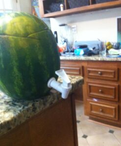 Tomlinson Replacement Cooler Faucet, White Pack of 1 35 718hbXiDpxL