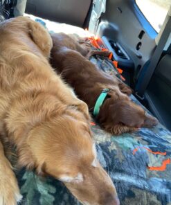 NaturVet Quiet Moments Calming Aid Dog Supplement – Helps Promote Relaxation, Reduce Stress, Storm Anxiety, Motion Sickness for Dogs – Tasty Pet Soft Chews with Melatonin – 70 Ct. Dog - Quiet Moments Melatonin 70 Soft Chews 36 718jyMkBXLL