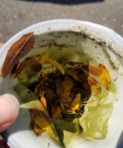 Intex Handheld Rechargeable Vacuum with Telescoping Aluminum Shaft and Two Interchangeable Brush Heads , Gray/Black 39 718kW2B7FL