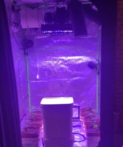 iPower GLFILT6M 6 Inch Air Carbon Filter Indoor Plants Grow Tent Odor Control Scrubber with Australia Activated C for Inline Fan, Reversible Flange, Prefilter Included, 6" 6" Filter 30 718l9oj9oL