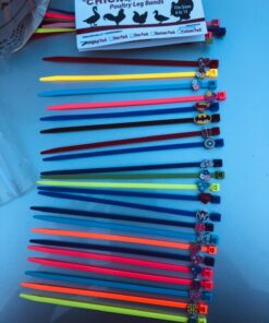 20 Chicken Charm Poultry Leg Bands - Includes Americas Favorite Super Hero's 35 718nQi97icL