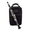 Jean Paul CL-400 Intermediate Bb Clarinet with ABS Body, Synthetic Pads and Silver-Plated Keys 19 718pP5pbtTL