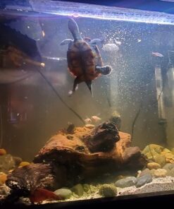 Tetra Whisper Bio-Bag Filter Cartridges For Aquariums - Unassembled BLUE Large 12 Count - Original 18 718ppWEAaL