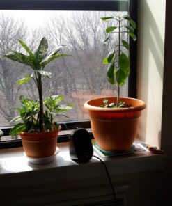 Espoma Organic Potting Soil Mix - All Natural Potting Mix For All Indoor & Outdoor Containers Including Herbs & Vegetables. For Organic Gardening, 8qt. bag. Pack of 1 43 718s6YgyTtL