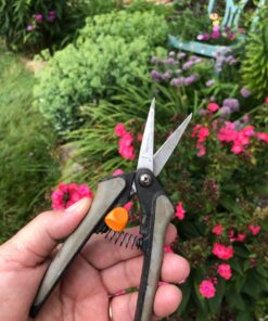 Fiskars Micro-Tip Pruning Snips - 6" Garden Shears with Sharp Precision-Ground Non-Stick Coated Stainless Steel Blade - Gardening Tool Scissors with SoftGrip Handle Pruning Snips (Non-Stick) 27 718tAjAiV2L
