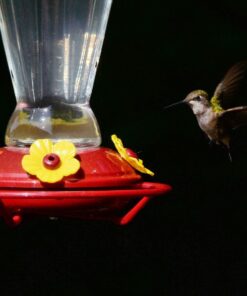 Nikon 200-500mm f/5.6E ED AF-S VR Zoom NIKKOR Lens- Bundle with 95mm Filter Kit, Flex Lens Shade, Cleaning Kit, Cap Leash, Software Package 47 718vcTVf4nL