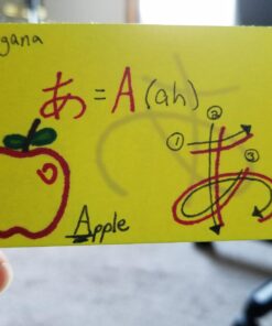 Debra Dale Designs - Vibrant Premium Study Flash Cards Set - 560 Count, 2" x 3.5", Hole Punched with 10 Rings - Heavy 100# Card Stock in Eight Eye-Catching Colors - Ideal for Effective Learning Multi Color Hole Punched - 560 20 718xGXB1ewL