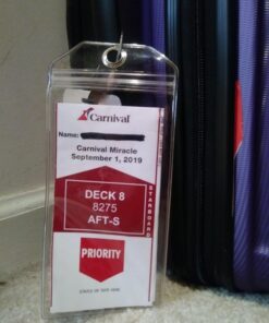 Highwind Cruise Luggage Tags for Suitcases | Cruise Accessories Must-Haves | Compatible w/All Cruise Lines | E-tag Holders Zip Seal&Steel Loops | ID Badge | Waterproof Clear Cruise Tags (4pk, Clear) 4 Pack - Clear 27 719 urS8arL