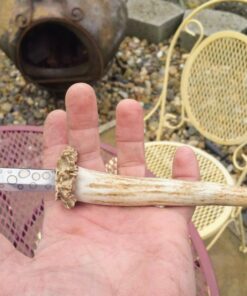 Micro-Mesh 2" Assortment Pack - 18 Pieces 22 7191sp0XZdL