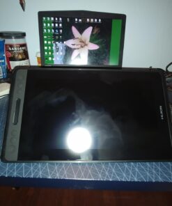 Huion KAMVAS Pro 12 Drawing Tablet with Screen Graphics Drawing Monitor Full-Laminated Pen Display with Battery-Free Pen and Adjustable Stand 8192 Pen Pressure(GT-116) 29 7194PaZHrcL