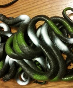 Fun Central 12 Pack - Realistic Rubber Snakes Toys for Garden in Bulk - 22 inches 40 7196kktOVL