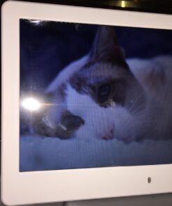 ViewSonic VFD820-70 8-Inch Digital Photo Frame (White) White 25 7197bq1j62L