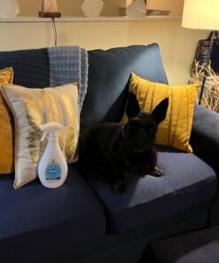 Pooph Pet Odor Eliminator, 32oz Spray - Dismantles Odors on a Molecular Basis, Dogs, Cats, Freshener, Urine, Poop, Pee, Deodorizer, Natures, Puppy, Fresh, Clean, Furniture, Potty, Safe Pet Odor Eliminator - 32 oz Spray 31 719A9Ibd1L