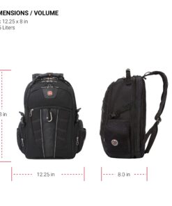 Swiss Gear SA1753 Black TSA Friendly ScanSmart Laptop Backpack - Fits most 15 Inch Laptops and Tablets 17-Inch 27 719BHDds6L
