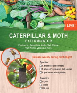 Bug Sales Trichogramma 3 Squares/ 12,000 Eggs 11 719CezjscOL
