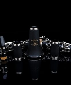 Glory GLY-PBK Professional Ebonite Bb Clarinet with 10 Reeds, Stand, Hard Case, Cleaning Cloth, Cork Grease, Mouthpiece Brush and Pad Brush, Black Black/Silver 23 719Dv55ByAL