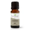 Plant Therapy Himalayan Cedarwood Essential Oil 10 mL (1/3 oz) 100% Pure, Undiluted, Therapeutic Grade 0.33 Fl Oz (Pack of 1) 10 719EDJnprwL