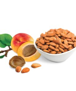 Sunfood Superfoods Apricot Kernels- Raw, Organic, Non-GMO. Ultra-Clean: No Additives, Fillers, Preservatives. Harvested by Hand. Naturally Sun Dried. Sustainable Farming Practices. 8 oz 8 719EmvEjXfL