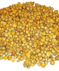 Alternative view of Japanese Garlic//Ajo Japones (100% Natural!!) 150 Pieces