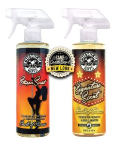 Chemical Guys AIR_069_16 Signature Scent Premium Air Freshener and Odor Eliminator, Smell of Success (Great for Cars, Trucks, SUVs, RVs, Home, Office & More) 16 fl oz Fresh 16 Fl Oz (Pack of 1) 16 719IjKpF2AL