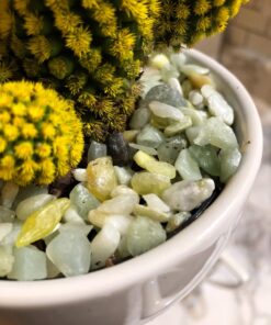 Exotic Pebbles BPJS464 Bean Pebble, Jade, 5 Pounds (Discontinued by Manufacturer) 20 719J2vsZB1L