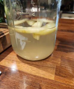 Cultures for Health Water Kefir Grains | DIY Fermented Probiotic Drink Powder for Stronger Gut Health | Heirloom Starter Makes Limitless Supply | Non-GMO Dairy Free Vegan Sparkling Water with Enzymes 0.19 Ounce (Pack of 1) 40 719LTpmTDtL