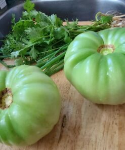 Neptune's Harvest Organic Hydrolized Fish & Seaweed Fertilizer 36 0z 36 Ounce 31 719LU3WojL