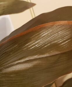 Nearly Natural 6580 Cordyline Silk Plant Real Touch, 5-Feet, Green 27 719LnlbqdBL